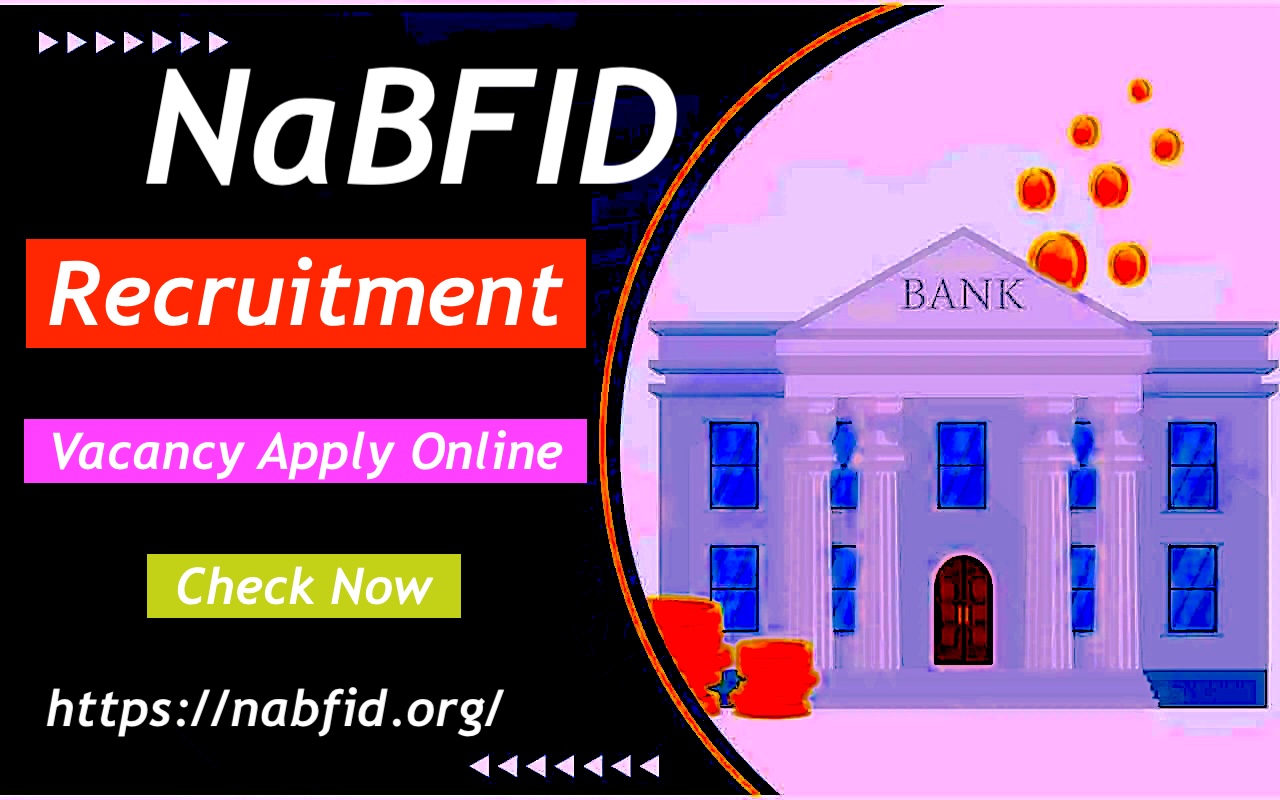 NaBFID Vacancy