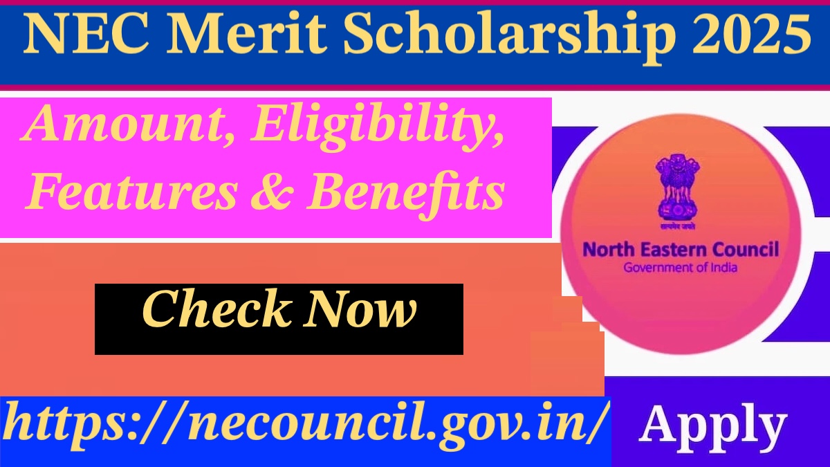 NEC Merit Scholarship